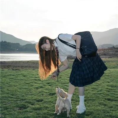 芭蕾彗星尼真斯基